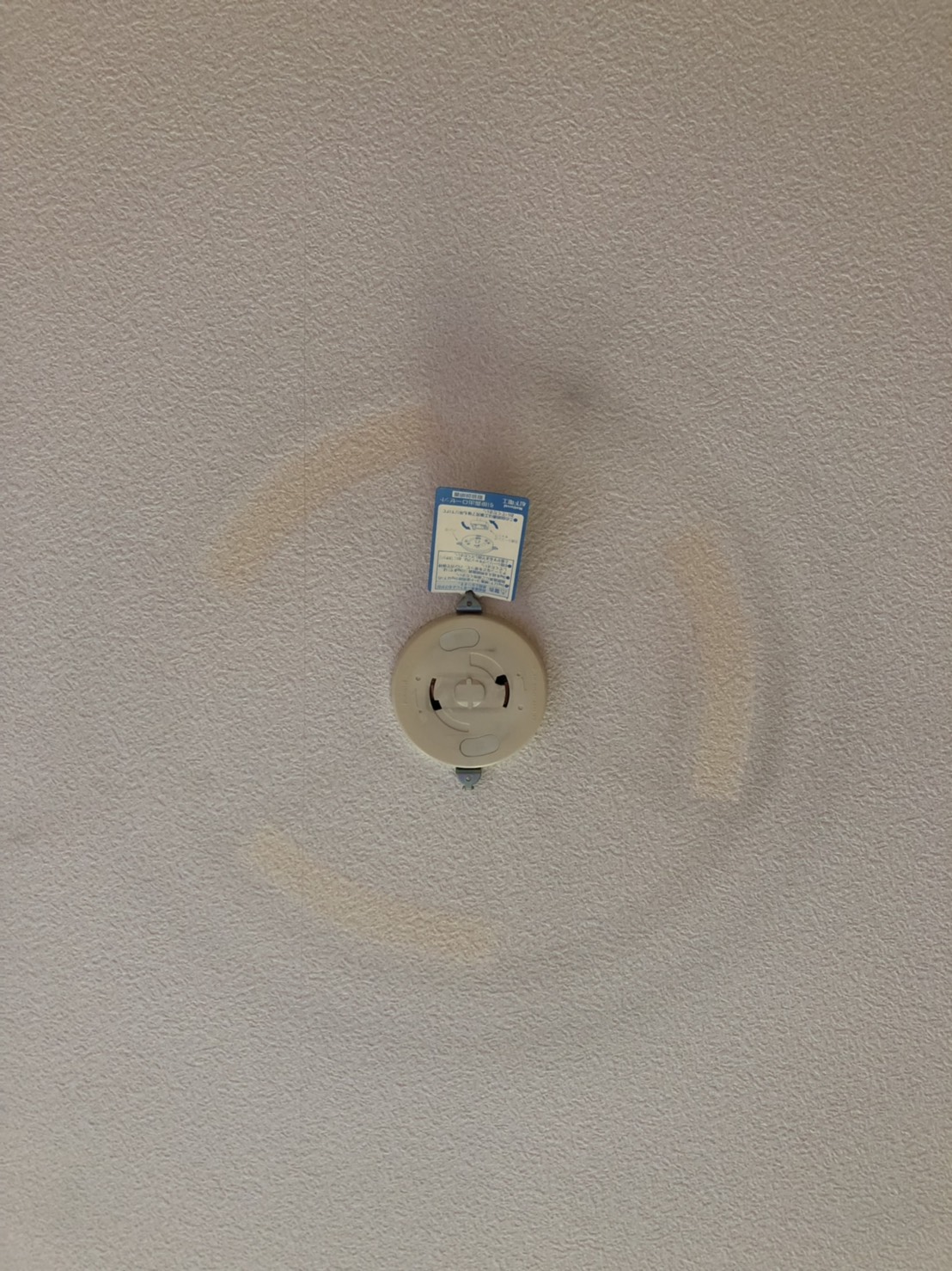今すぐお問い合わせを！